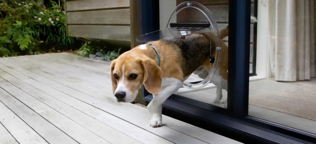 Dog Door - TC